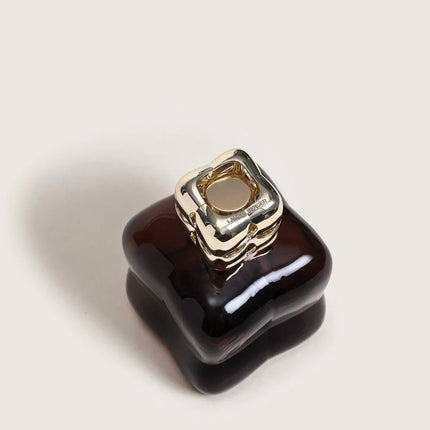 Maison Berger Brander Cosy Prune