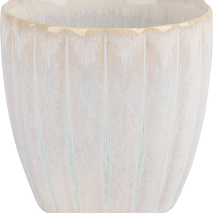 Cosy&Trendy Astera Pure Beker Zonder Oor 24 CL