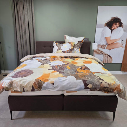 Ledorm Boxspring Royal Page Chocolat – 180x210 cm (Showmodel)