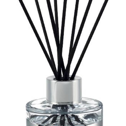 Maison Berger Duo Mini Bouquet & Bougie Festive Fir