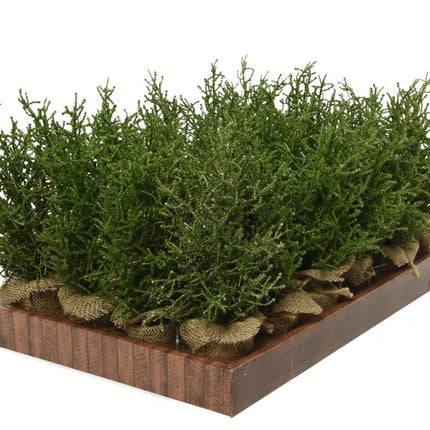 Mini kerstboom silver glitter voor binnen - groen - 12x30cm