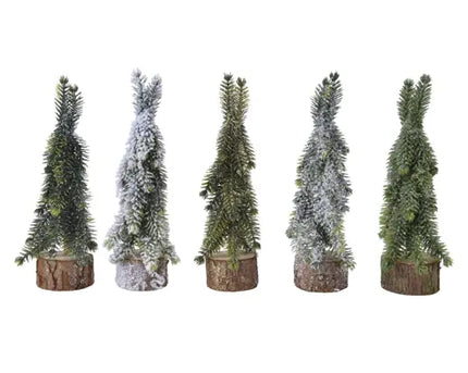 Miniboom voor binnen - 5 x H20 cm - assortie