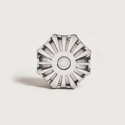 Maison Berger Autodiffuser Coralie Silver met Lady Flower