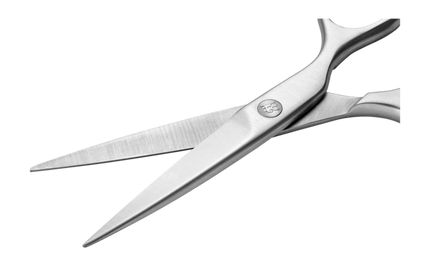 Zwilling J.A. Henckels Twin Select Huishoudschaar - 130 mm