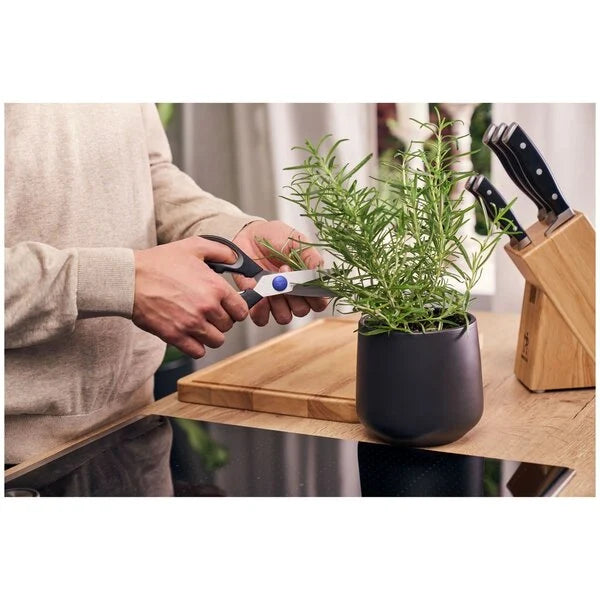 Zwilling J.A. Henckels keukenschaar